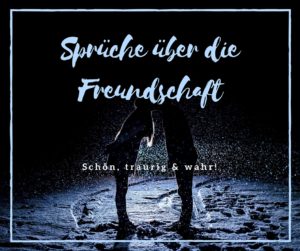 Dumme Sprüche Die dümmsten Sprüche aus dem